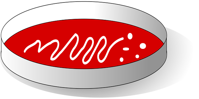 Cara Merawat AC Mobil agar Tetap Dingin dan Tidak Cepat Rusak